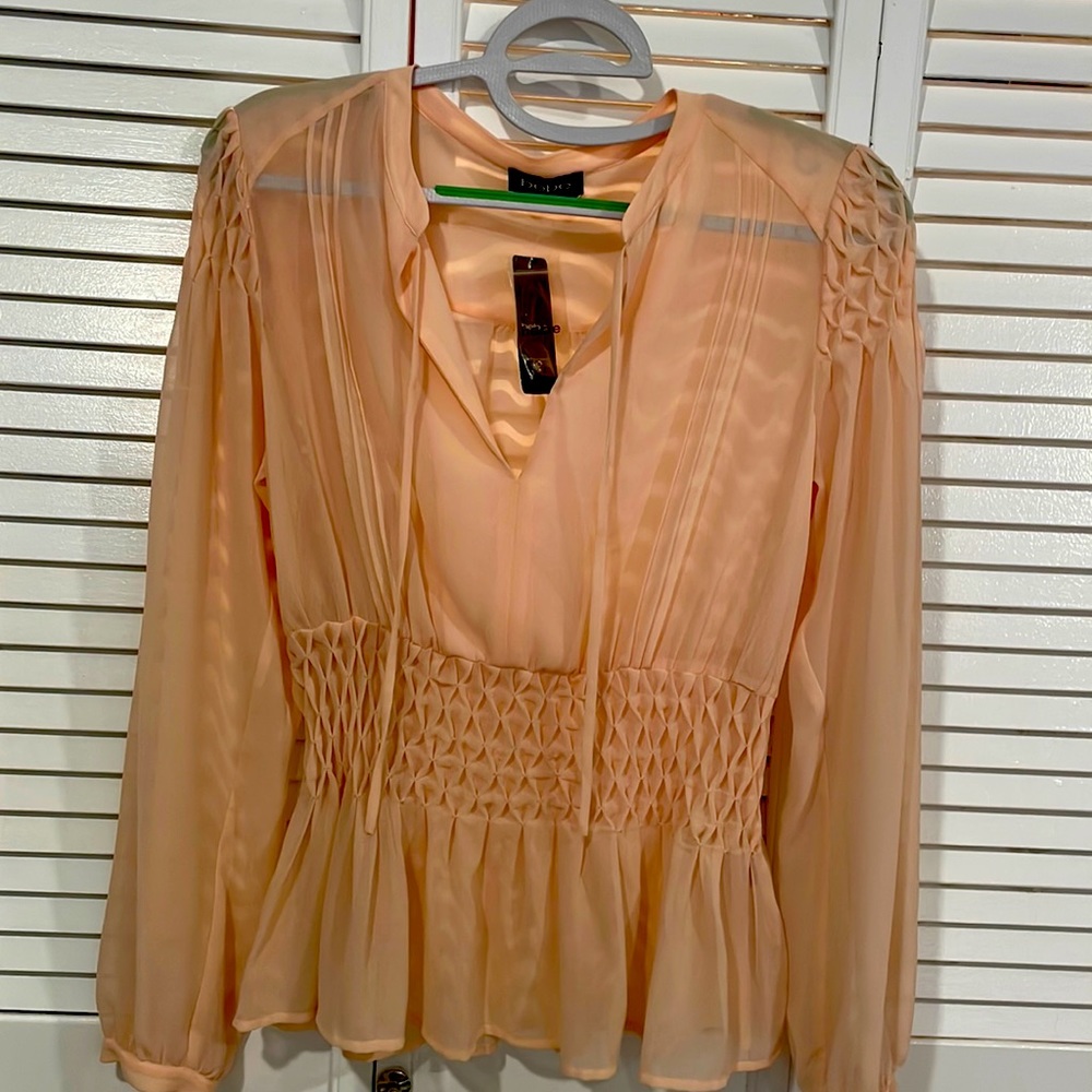 Light pink blouse sheer long sleeve cropped in mid waist